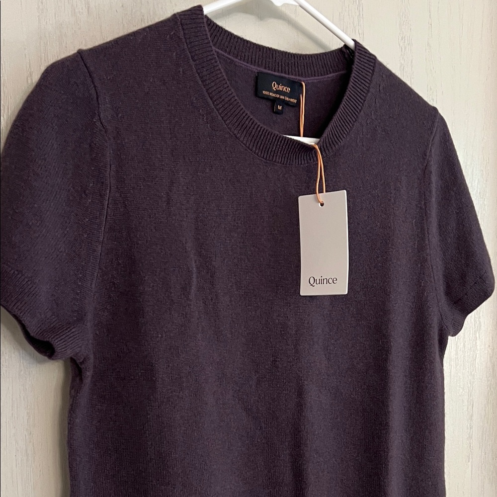100% Cashmere | Short Sleeve Crewneck Sweater - Plum